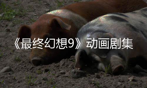 想9认制画剧魔导集确 聚焦黑动最终幻作中士