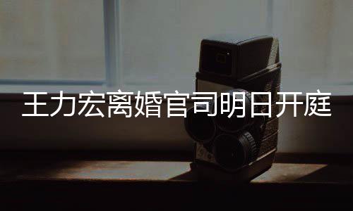日开宏离婚官庭 均提王力多项对决证据司明双方