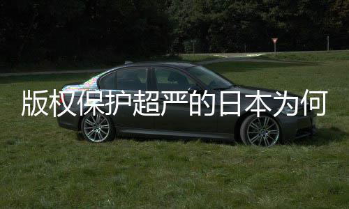 二创行人文何同化盛灰色揭秘版权保护本为的日地带业界超严