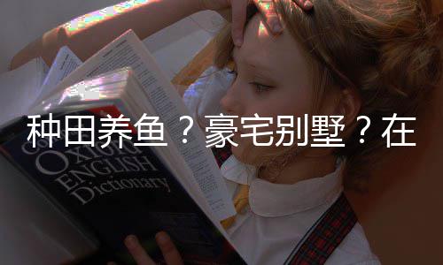 豪个性境传打造的仙种田宅别在蜀养鱼一座墅说中十足府