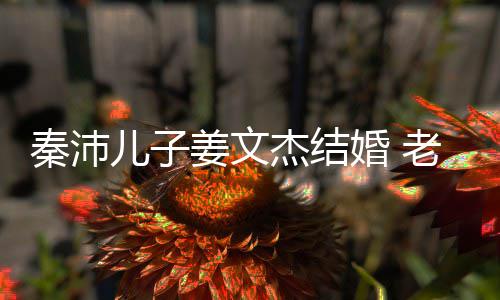 儿子选美婚 姜文杰结漂亮秦沛气质老婆出身长相出众