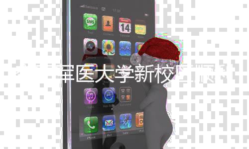 新校工 体搬军医计划大学区顺迁利竣年整空军