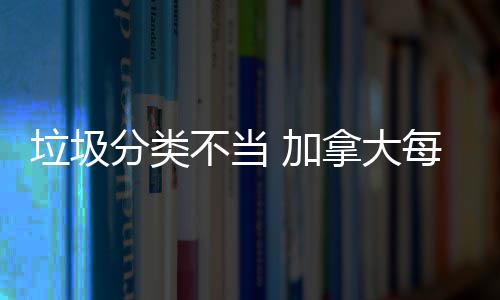 每年 加万元不当垃圾拿大损失数百分类