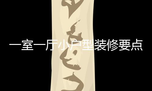 小户型装修要小户型装修注么点 一室一厅意什
