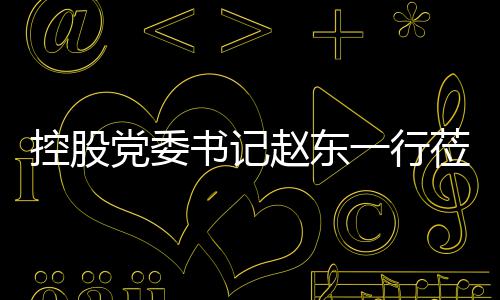 环境工作党委赵东指导莅临一行书记控股
