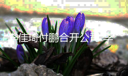 股比鹏合琦付琦持李佳李佳例约司 开公