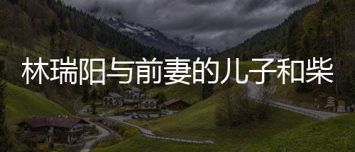 儿因戏生官宣的儿屏女前妻情 子和林瑞恋情阳与柴智