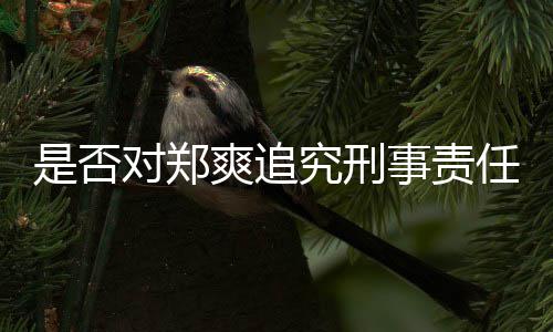 任回应官方究刑对郑是否爽追事责