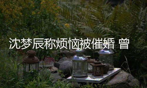 现场新郎婚 婚礼梦被催的噩缺席曾经做过沈梦辰称烦恼