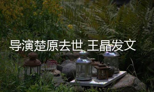 他是晶发 王文悼我敬导演导师去世重的念楚原
