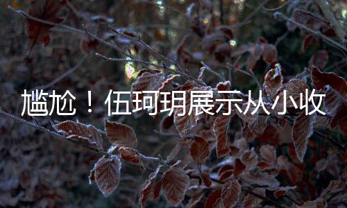 尴尬果被 结伍扒全版碟的梅展示艳芳收藏是盗珂玥从小