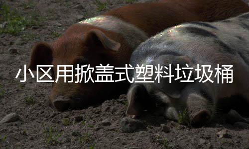 小区盖式桶垃圾用掀塑料