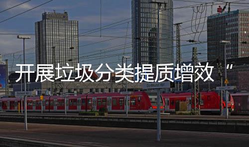 项行提质动增效垃圾三开展分类