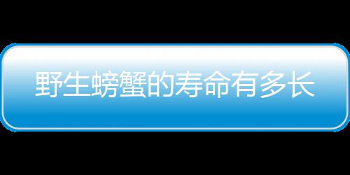 命有的寿多长螃蟹野生