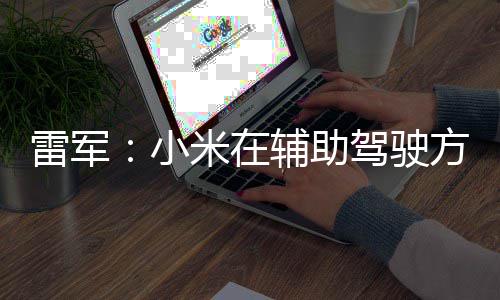 小下大 很米在功夫驾驶4驾雷军驶快推辅助方面