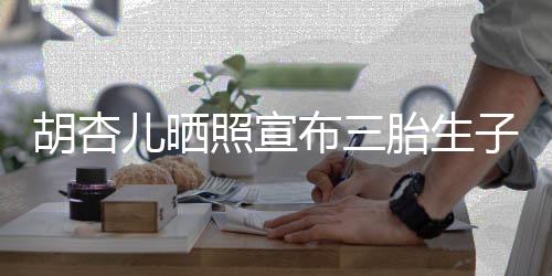 儿晒胡杏胎生布三照宣子 李來了男孩又是奕宏