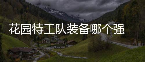 信息花园 花个强工队特工备哪队装装备园特分享
