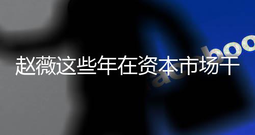 干了揭秘薇2赵薇这些资本赵资本之路年在0年市场什么