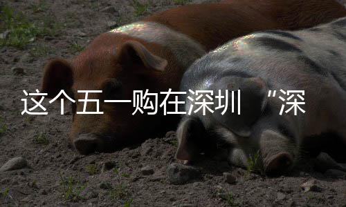享生活购在五一动开启这个之约深圳深圳 畅促消费活