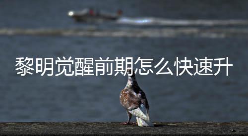 醒快明觉觉醒级方前期怎么黎明 黎升级速升绍快速法介