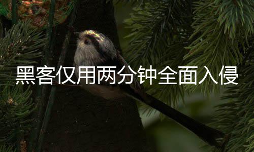 序 系统形同虚设黑客面入盟年仅用侵欧钟全证应两分龄验用程安全