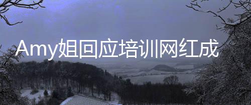 回应名叫天王y姐姐是网红培训嫂谁真什么成